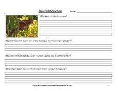 Eichhörnchen-Fragen-beantworten.pdf